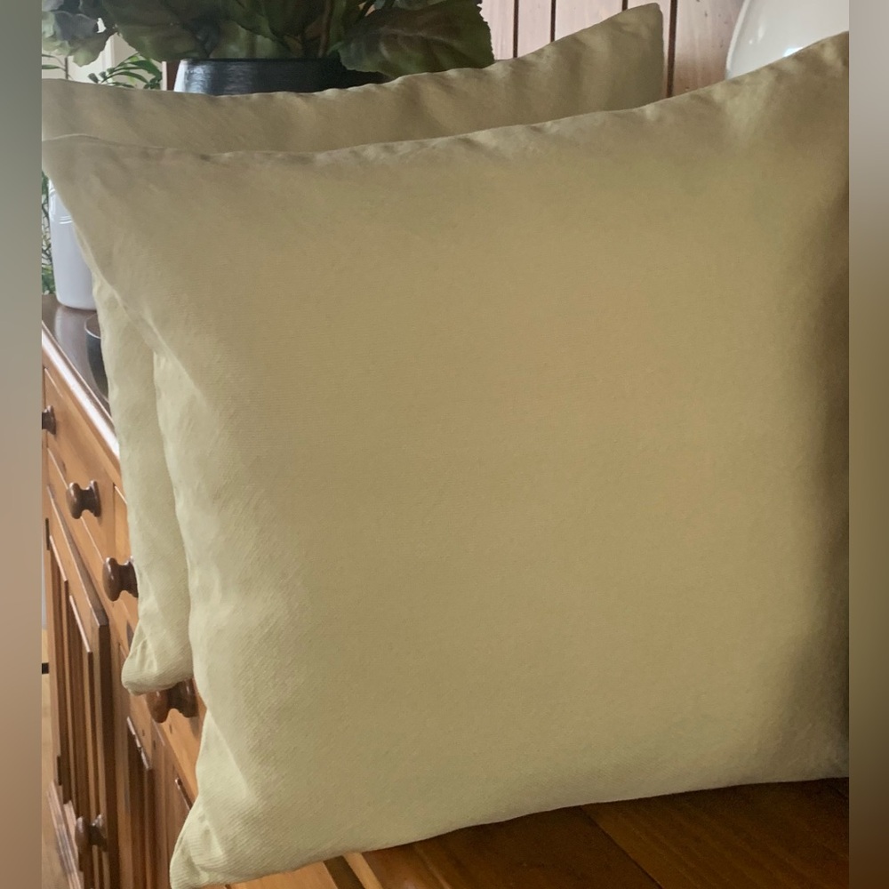 Pottery Barn Light Green Pillow Covers 
18”
Inserts not included